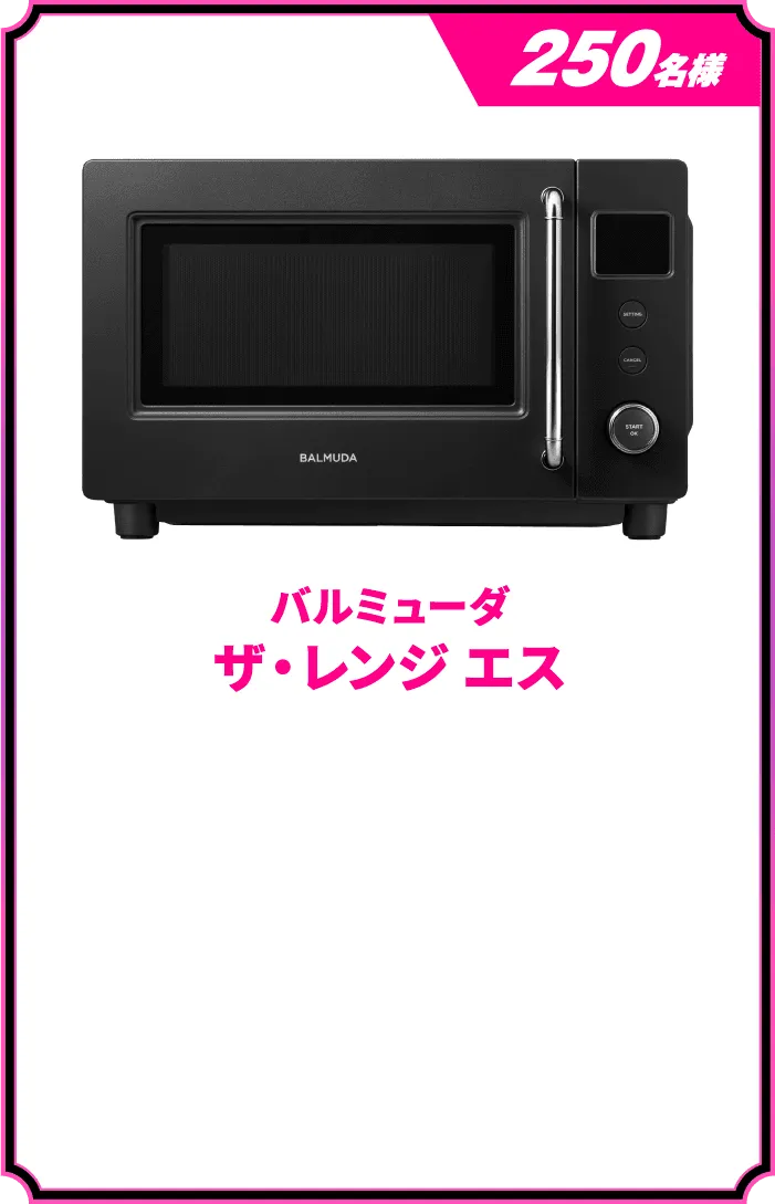 バルミューダ ザ・レンジ エス
