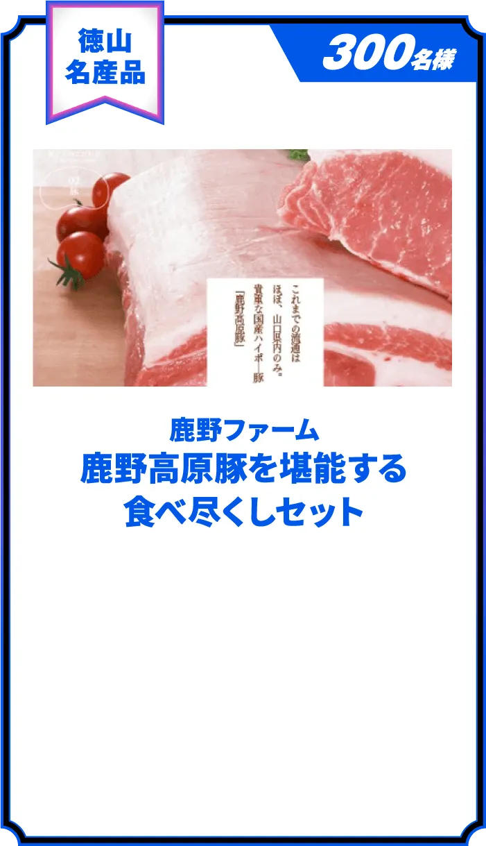 鹿野ファーム 鹿野高原豚を堪能する食べ尽くしセット