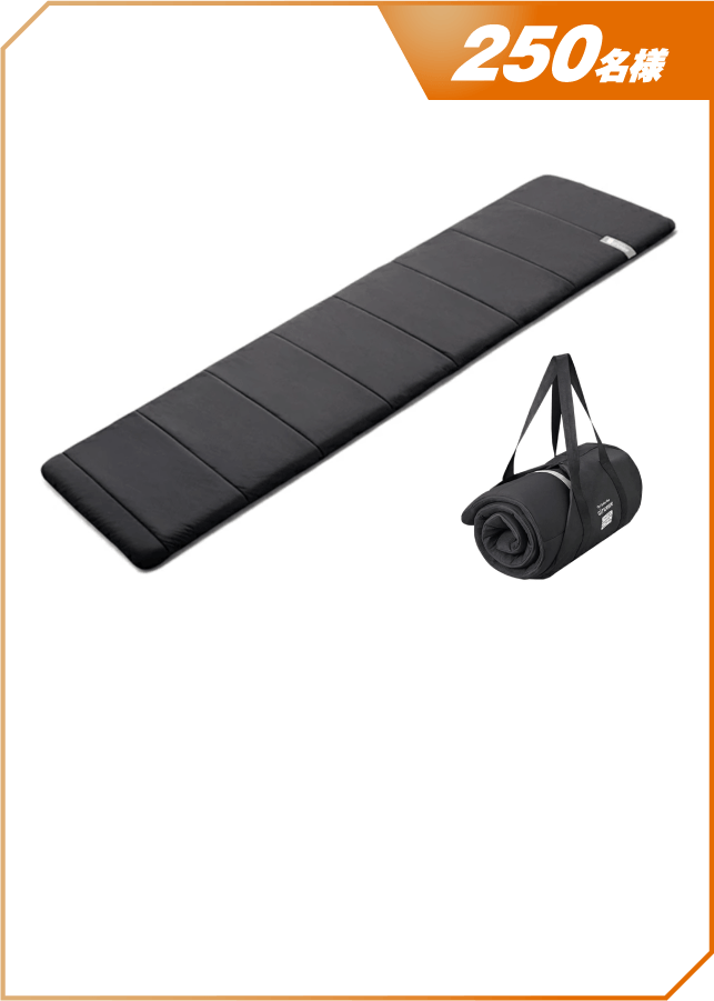 エアウィーヴポータブル mini