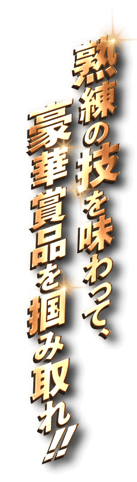 熟練の技を味わって豪華賞品を掴み取れ!!